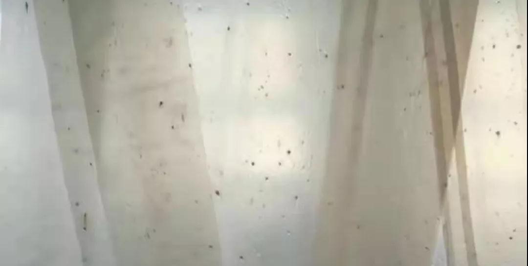 PBAT膜袋有黑点是什么原因?(图1)
